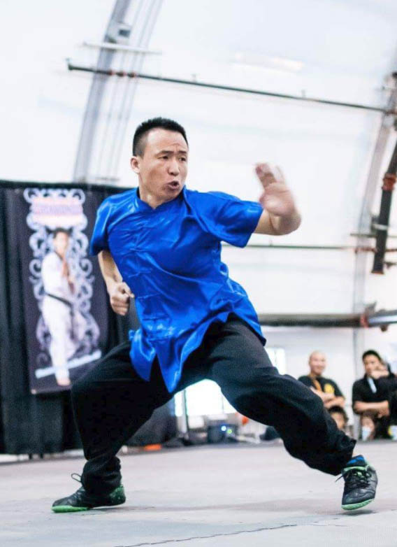 Master Zhao — Competition Fighting Stance
